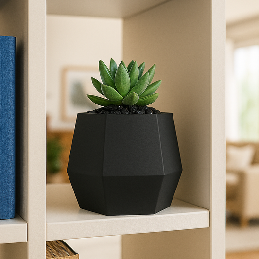 Green succulent in a black pot on a white shelf