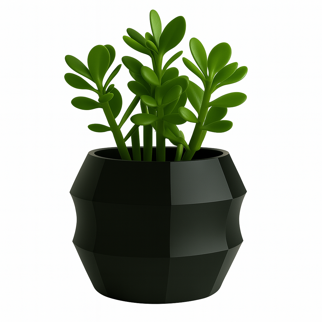 Obsidian Noir Sculptural Versatility in Matte Black